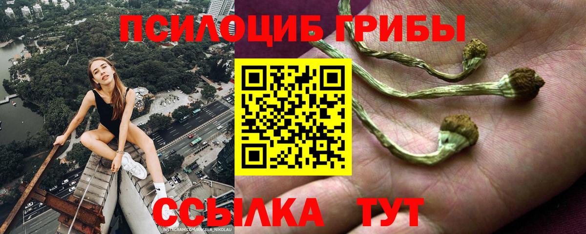 купить закладку  Галлюциногенные грибы Cubensis  Вход с VPN  Арсеньев 